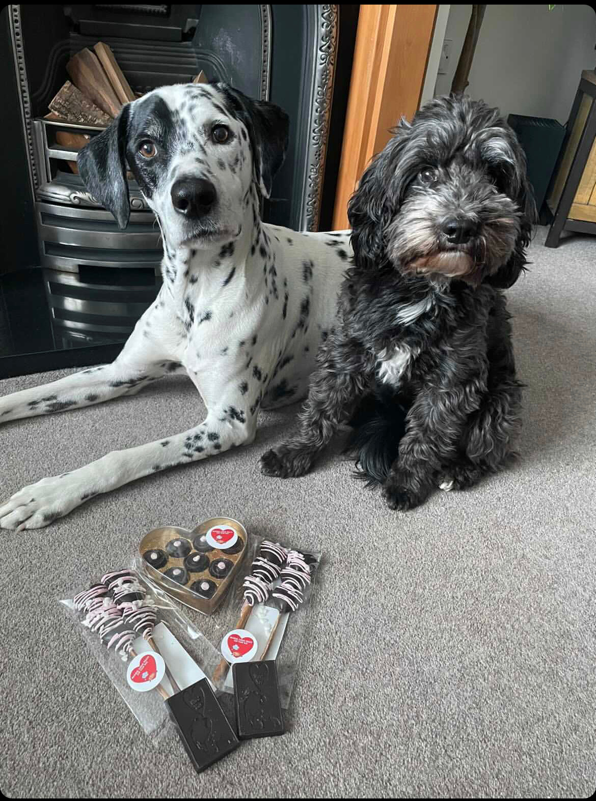 Baloo & Pongo Valentines