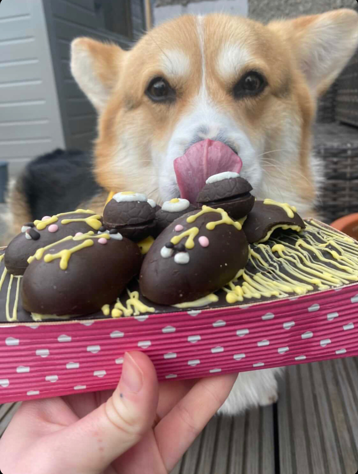 Easter Cake .. Yum!