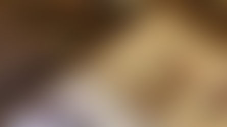 イベント出店のお知らせ