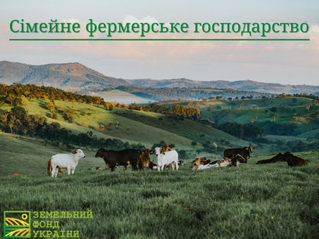 Сімейне фермерське господарство