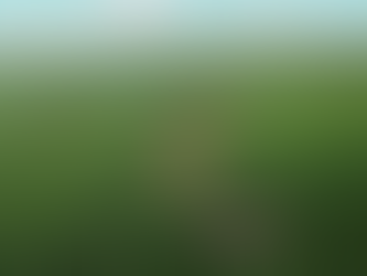 ЯКОЮ ЗЕМЛЕЮ МОЖНА ВОЛОДІТИ ІНОЗЕМЦЯМ В УКРАЇНІ?