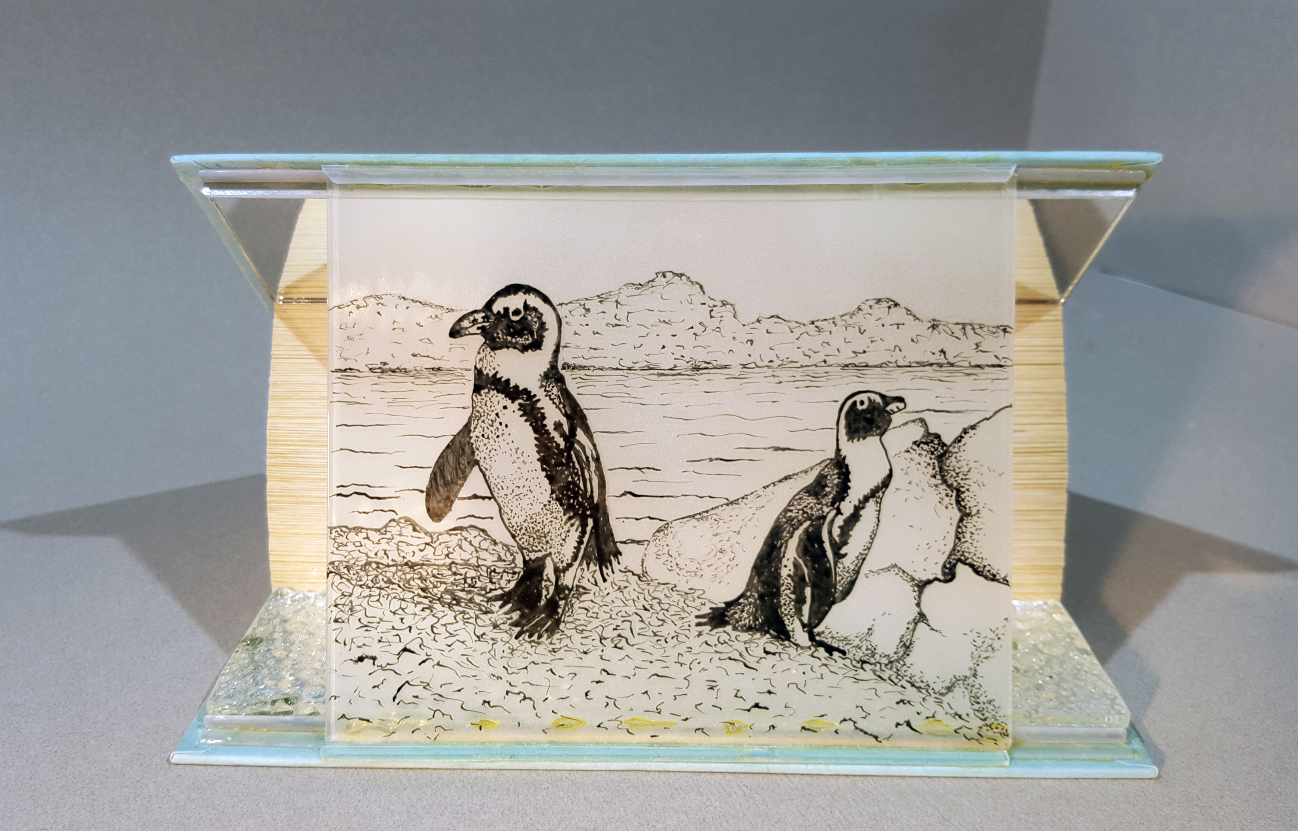 Do Penguins Have Knees