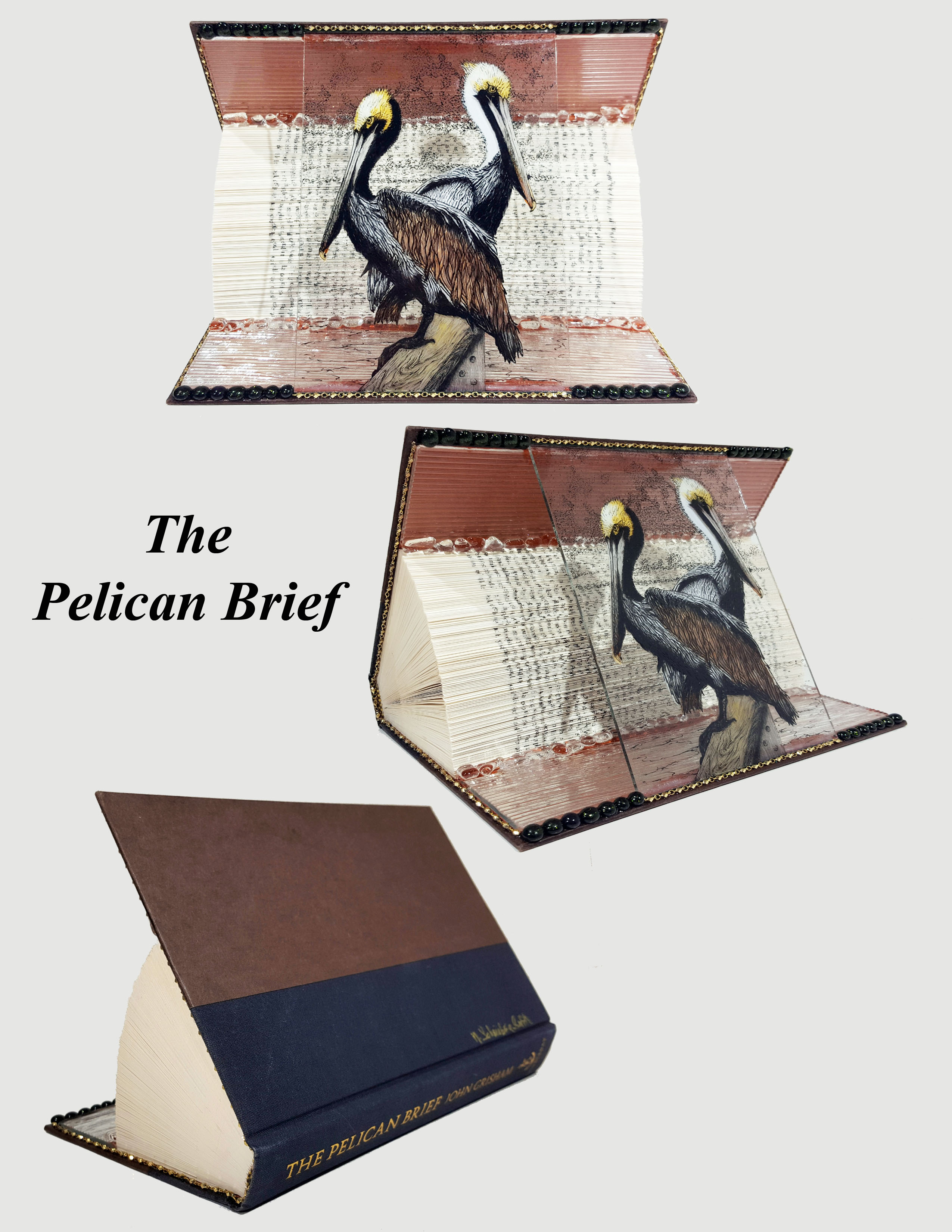 Animal Tales - Pelican Brief - 3 views
