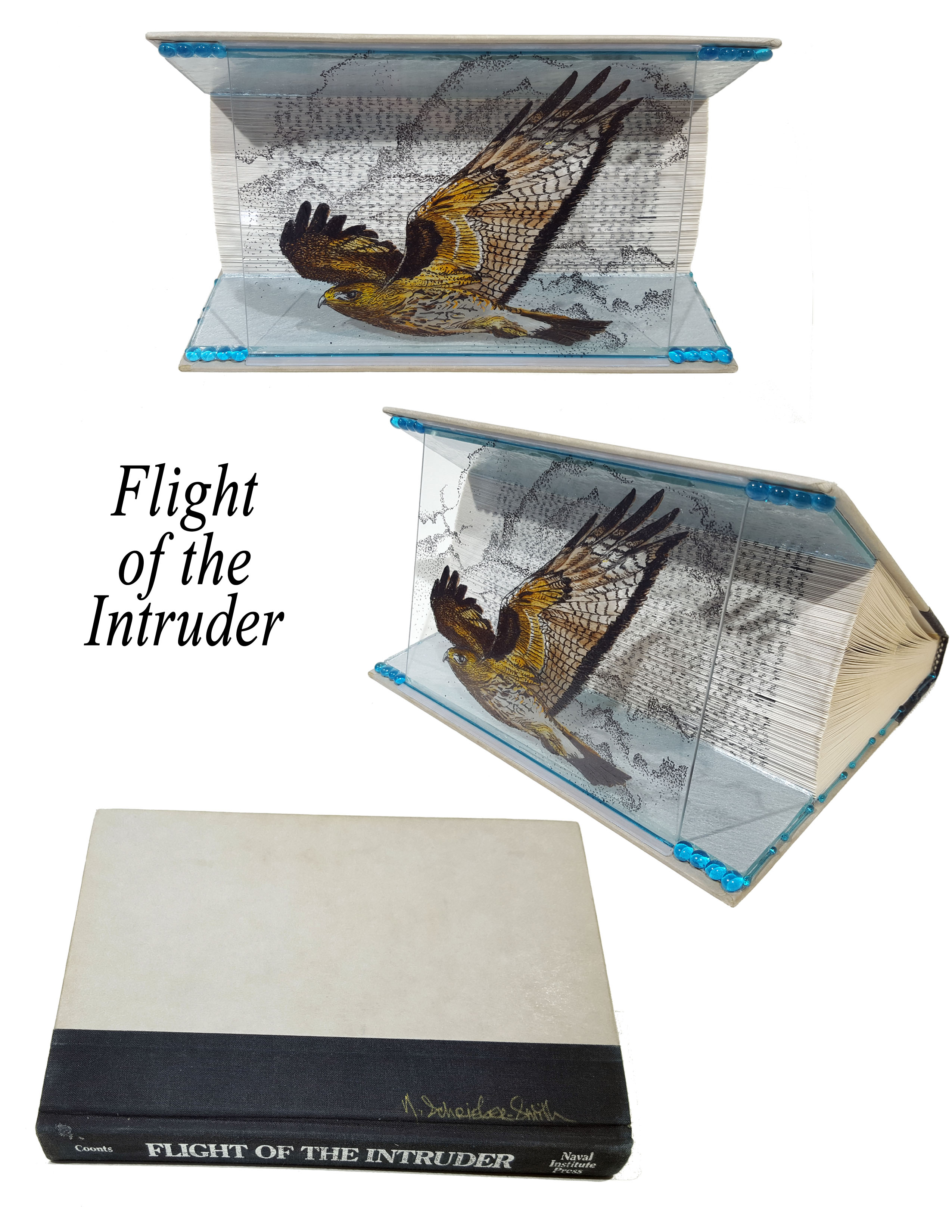Animal Tales - Flight of the Intruder -