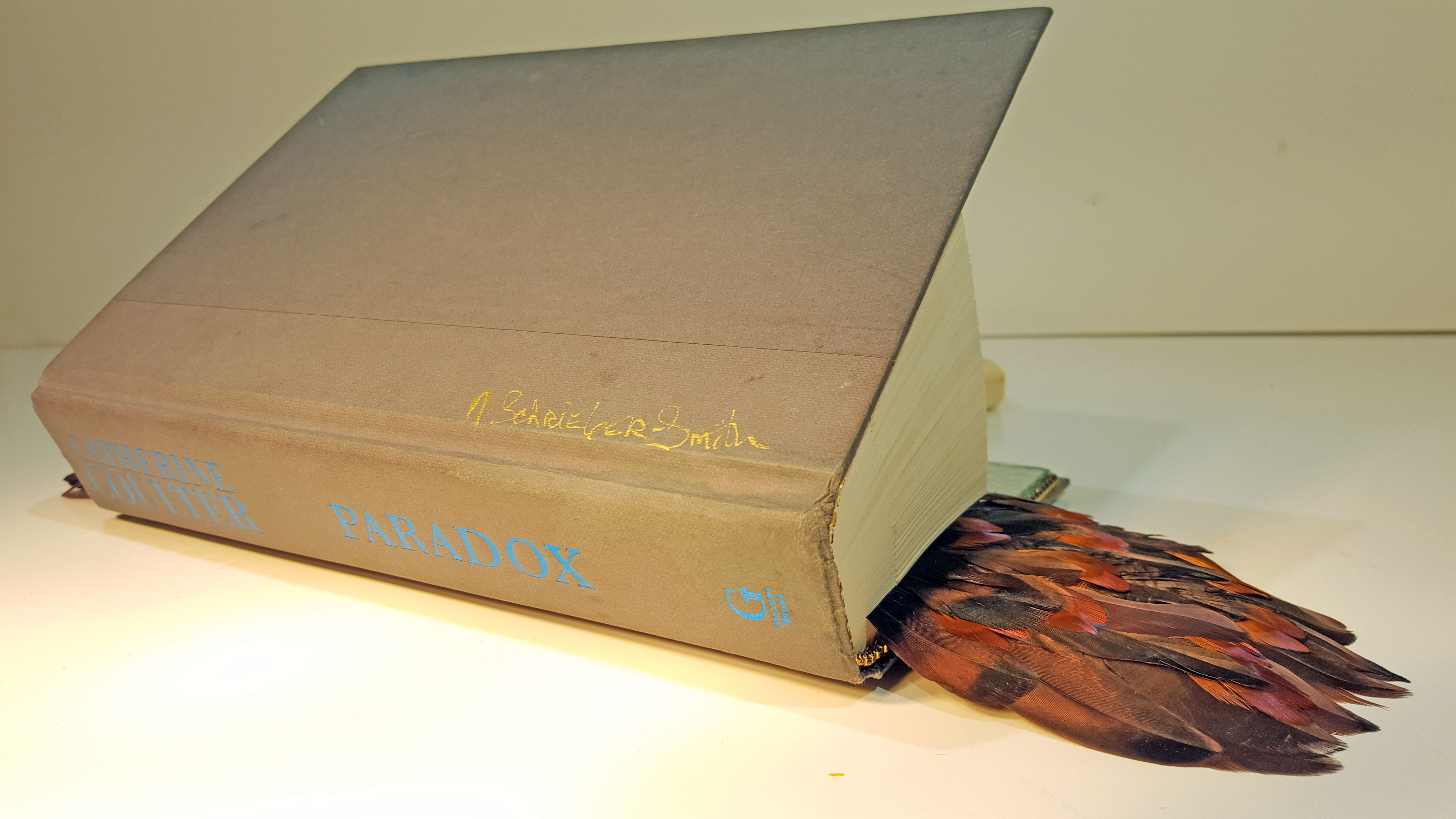 Animal Tales - Paradox - Back View 2
