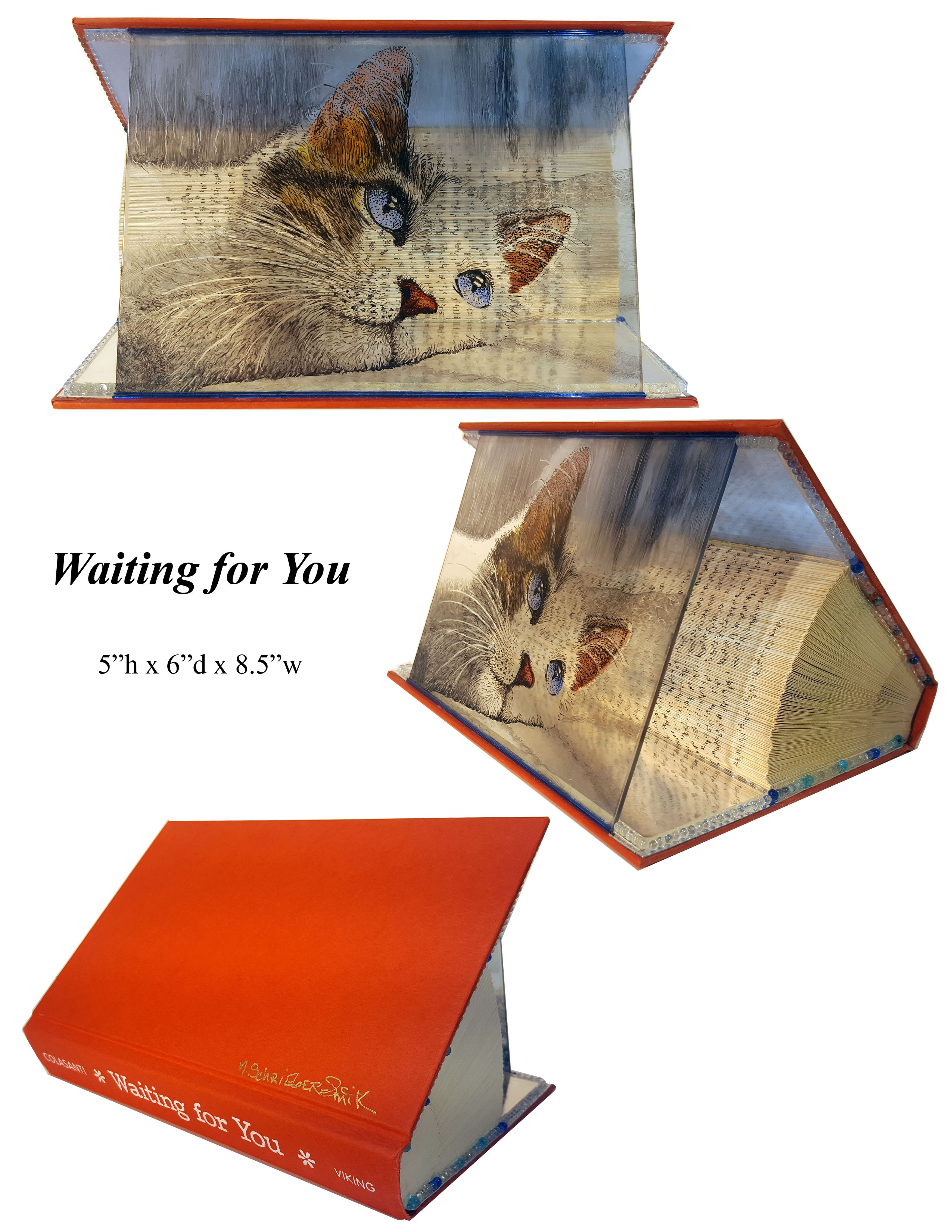 Animal Tales - Waiting For You - 3 view