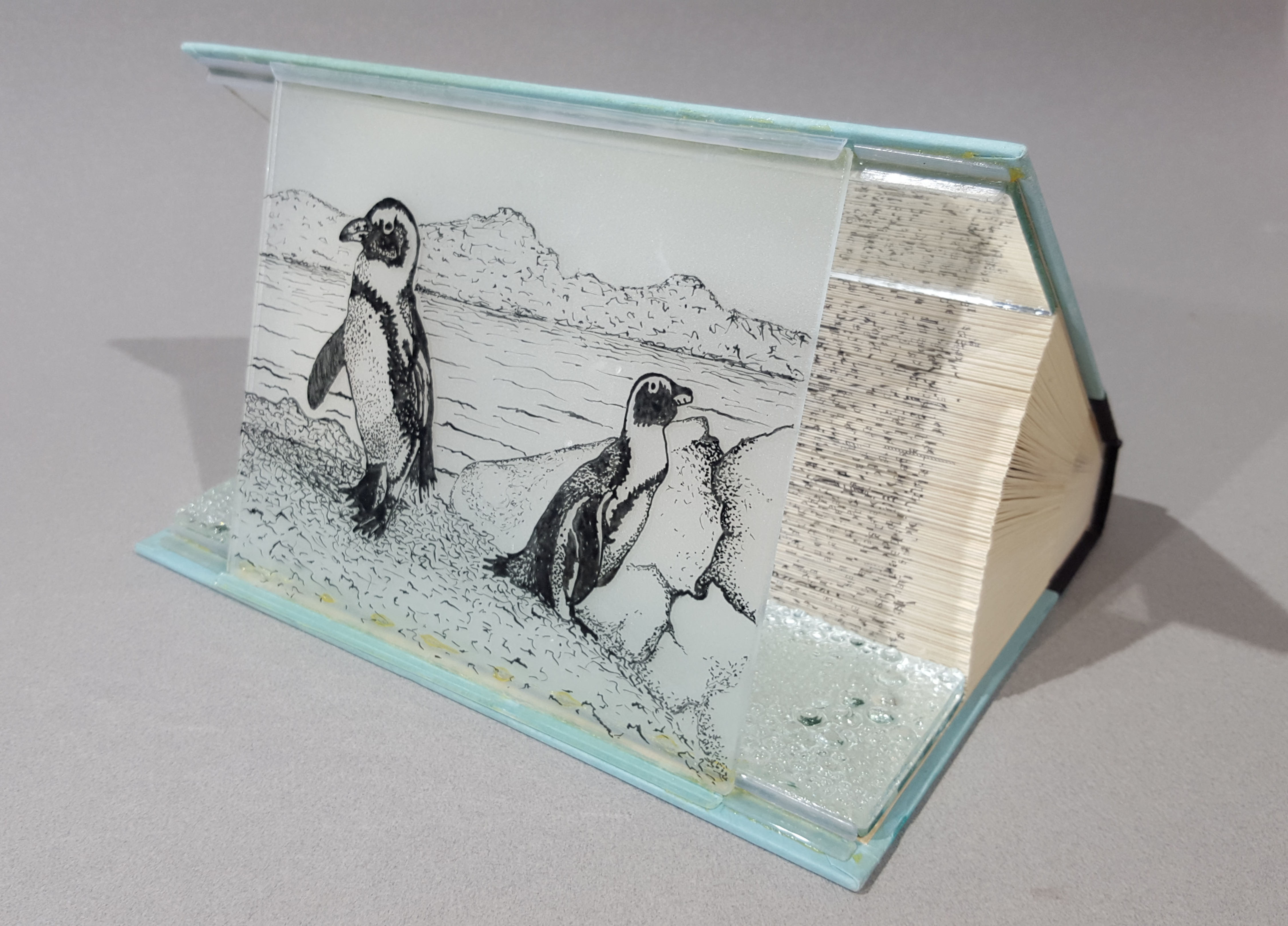 Do Penguins Have Knees