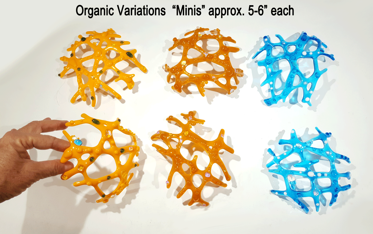 Organic-Variation-'Minis'-approx-5-6-inches-ea..png