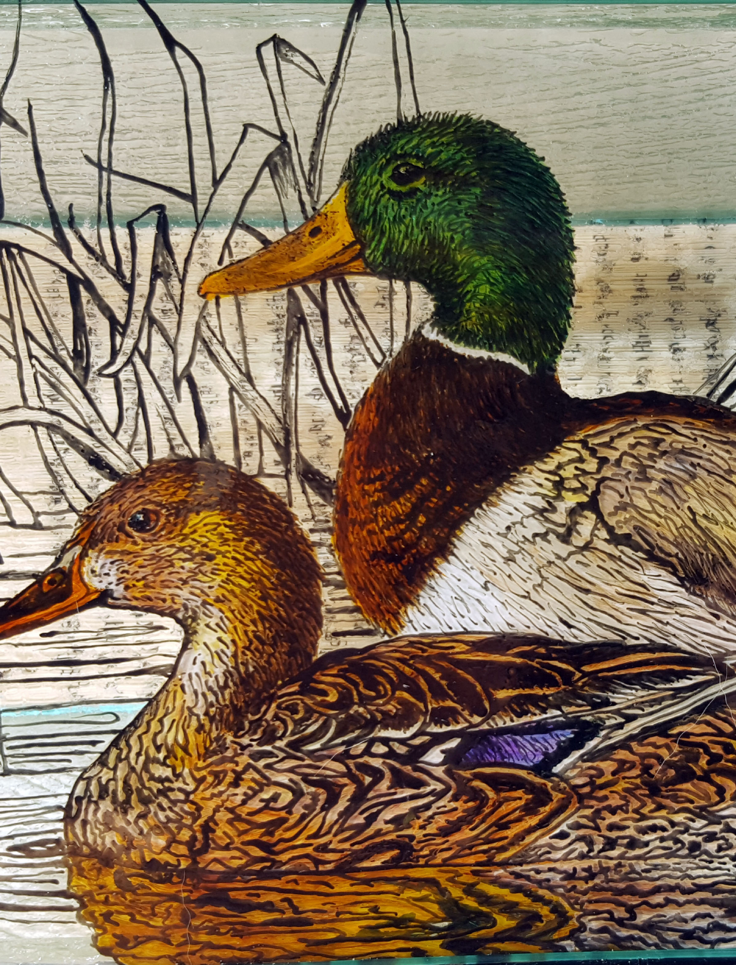 Animal Tales - Paradox - detail view