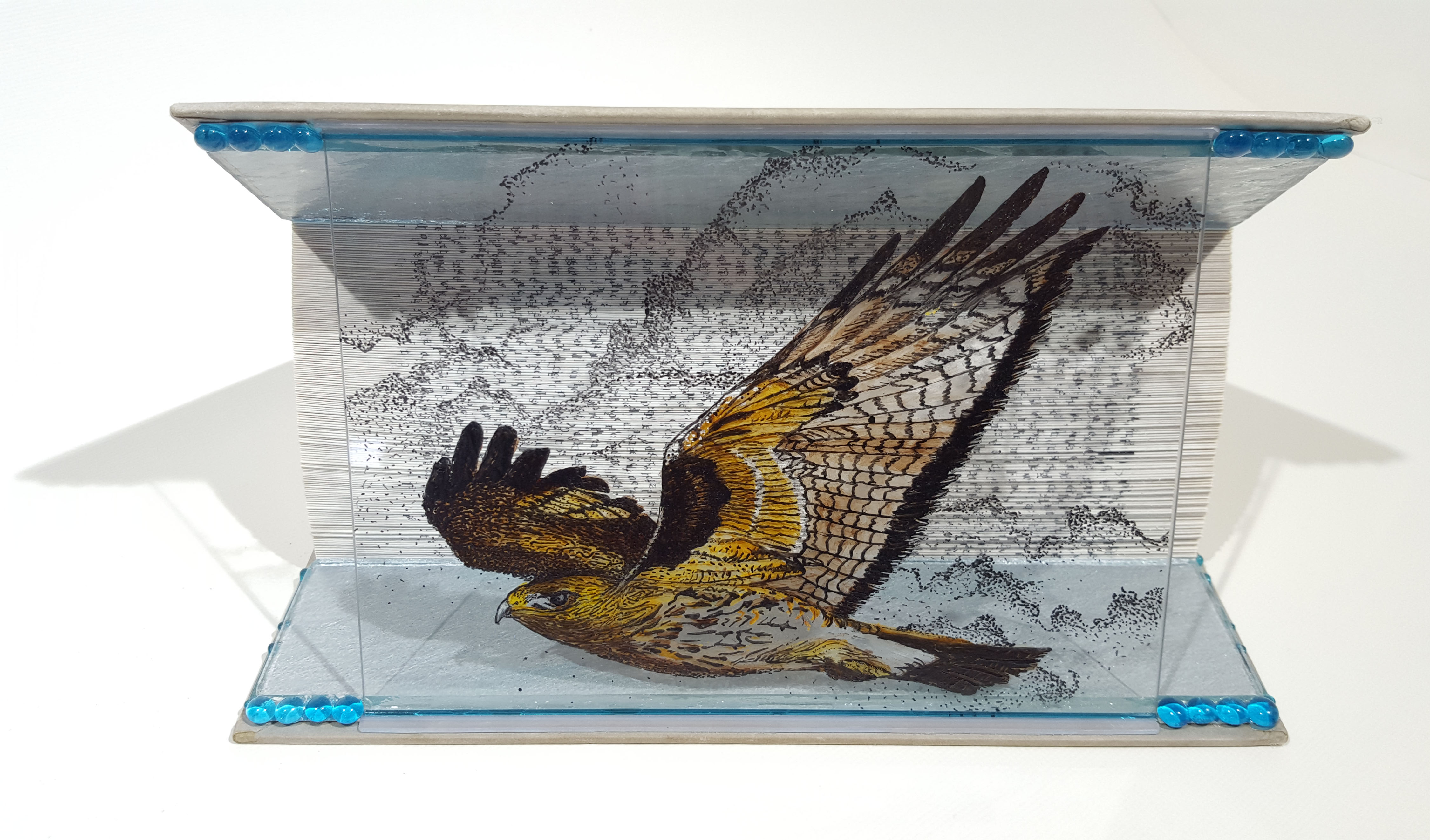 Animal Tales - Flight of the Intruder -