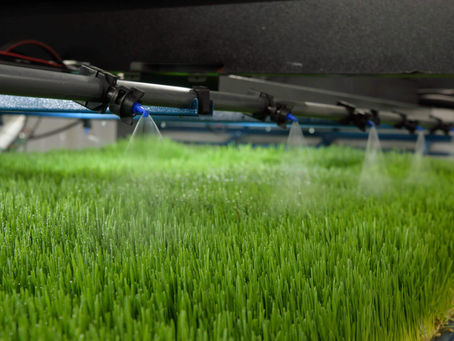 Cubicfarm Sells Nine HydroGreen Systems For $1.26M