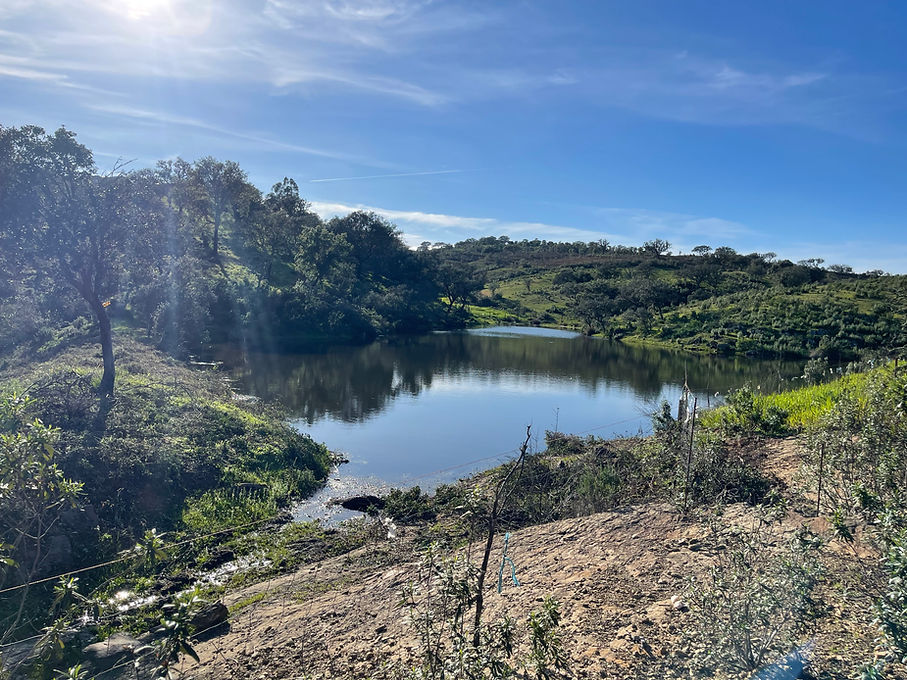 Lake 1.jpg