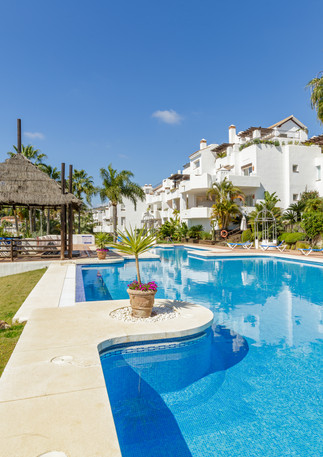 Tortuga 102-16.jpg
