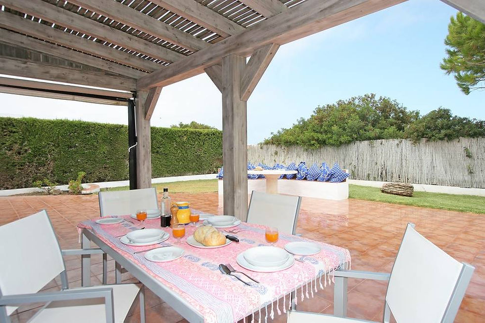Rear terrace overlooking the garden