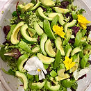 Avocado and raw Cauliflower Tabbouleh.jp