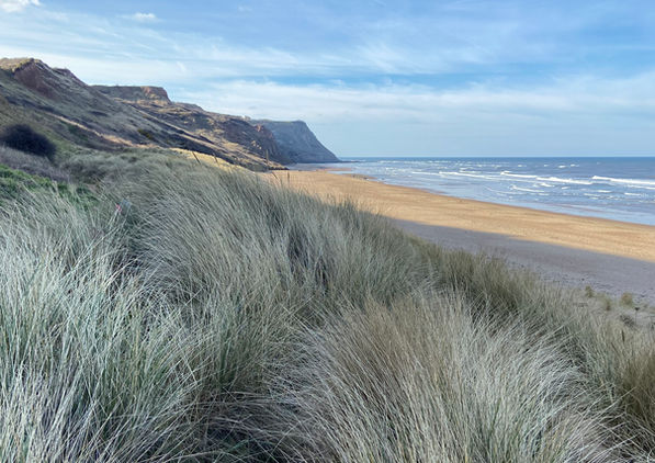 Tall coastal grasses overlooking a wide sandy beach with gentle waves and distant cliffs under a blue sky.