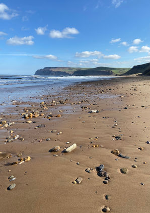 A pebble-strewn shoreline with gentle waves and distant green cliffs under a clear blue sky