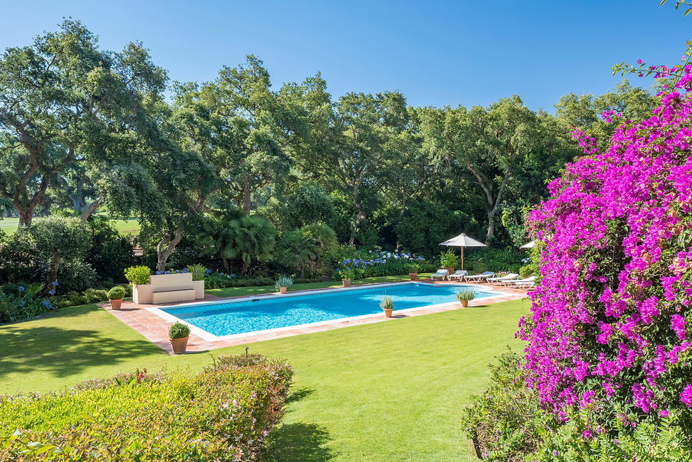 Web_JG_Duarte_de_Portugal_8_Villa_MiMove-22