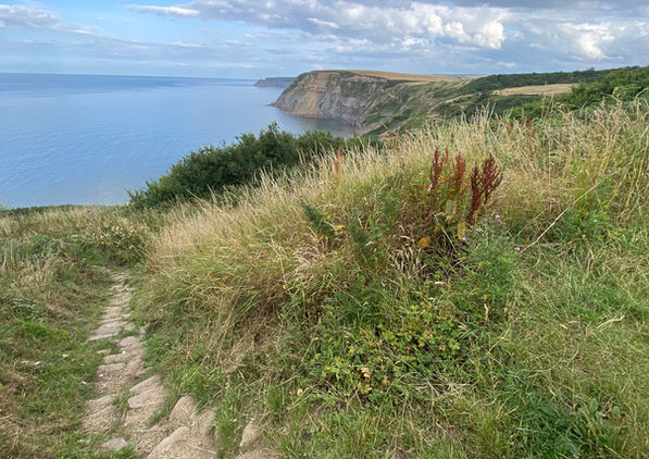 Stone steps lead through tall grass toward a coastal cliff, overlooking calm blue water under a cloudy sky.