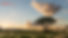 Untitled design (43).png