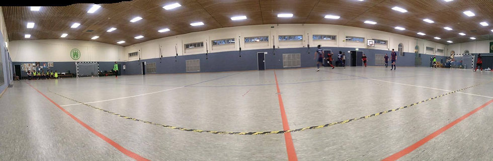futsal halle.jpeg