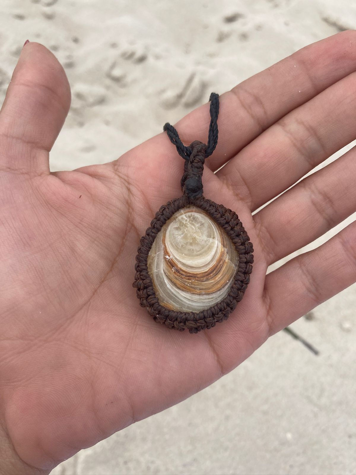 Fóssil de Stromatolite