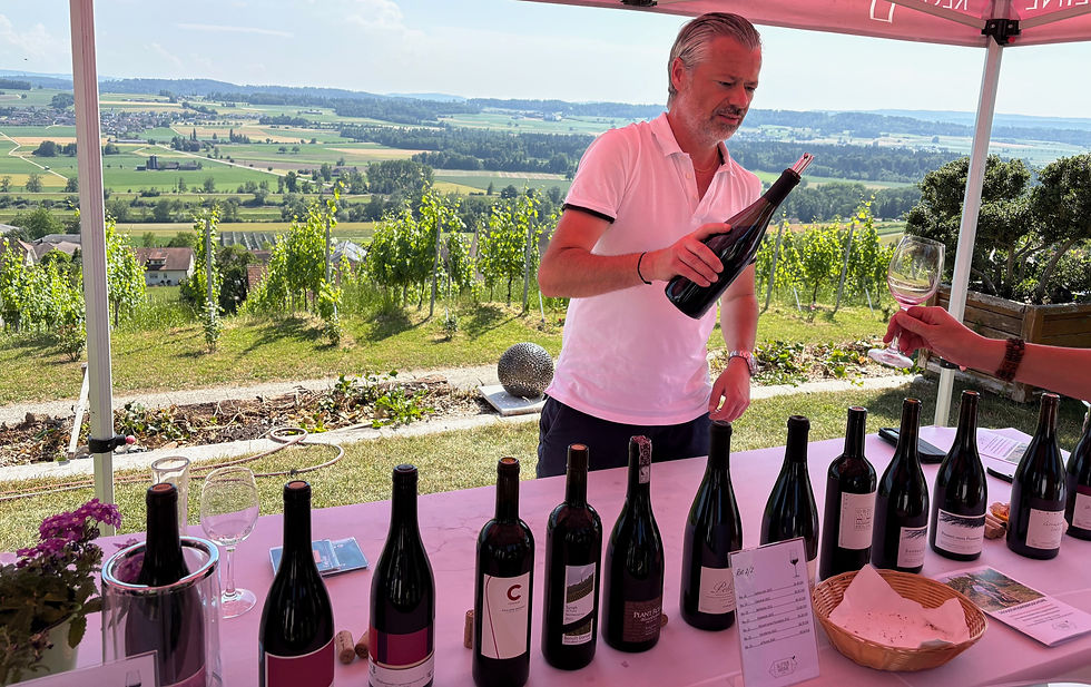 Degustation im Weinberg