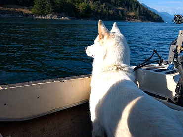 On the water in the Discovery Islands with Loona