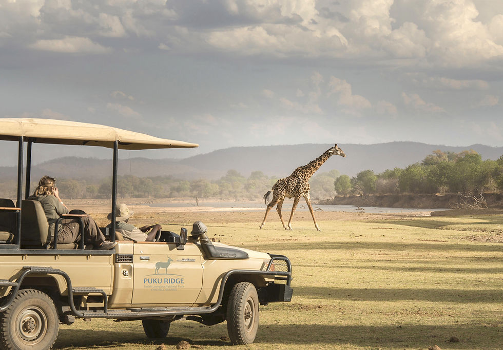 In a high quality safari vehicle, all seats are equally comfortable and command unobstructed sight lines