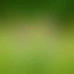 Boat Safari on the Nile in Murchison Falls National Park