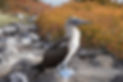 DSC01466.JPG