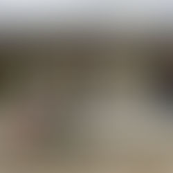 Journey Notes from Ecuador's Mainland