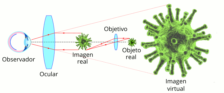 funcionamiento-ocular.gif