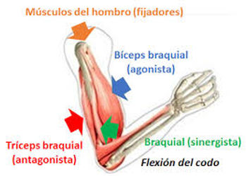 descarga-20.jpg