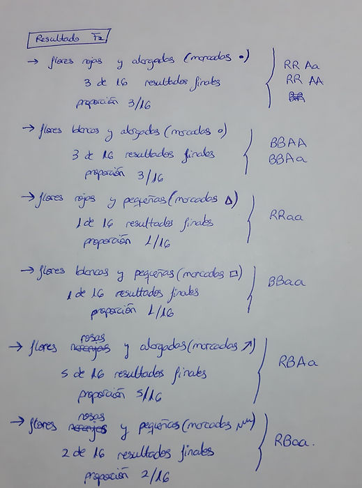 20200417_192024.jpg