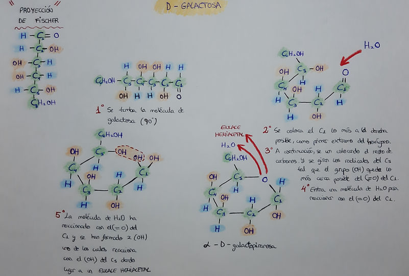 20191019_231401.jpg