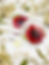 Thumbnail: Floral Red - Coaster Gift Set