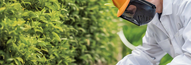 PM (Integrated Pest Management) offers eco-friendly pest control solutions by combining bi