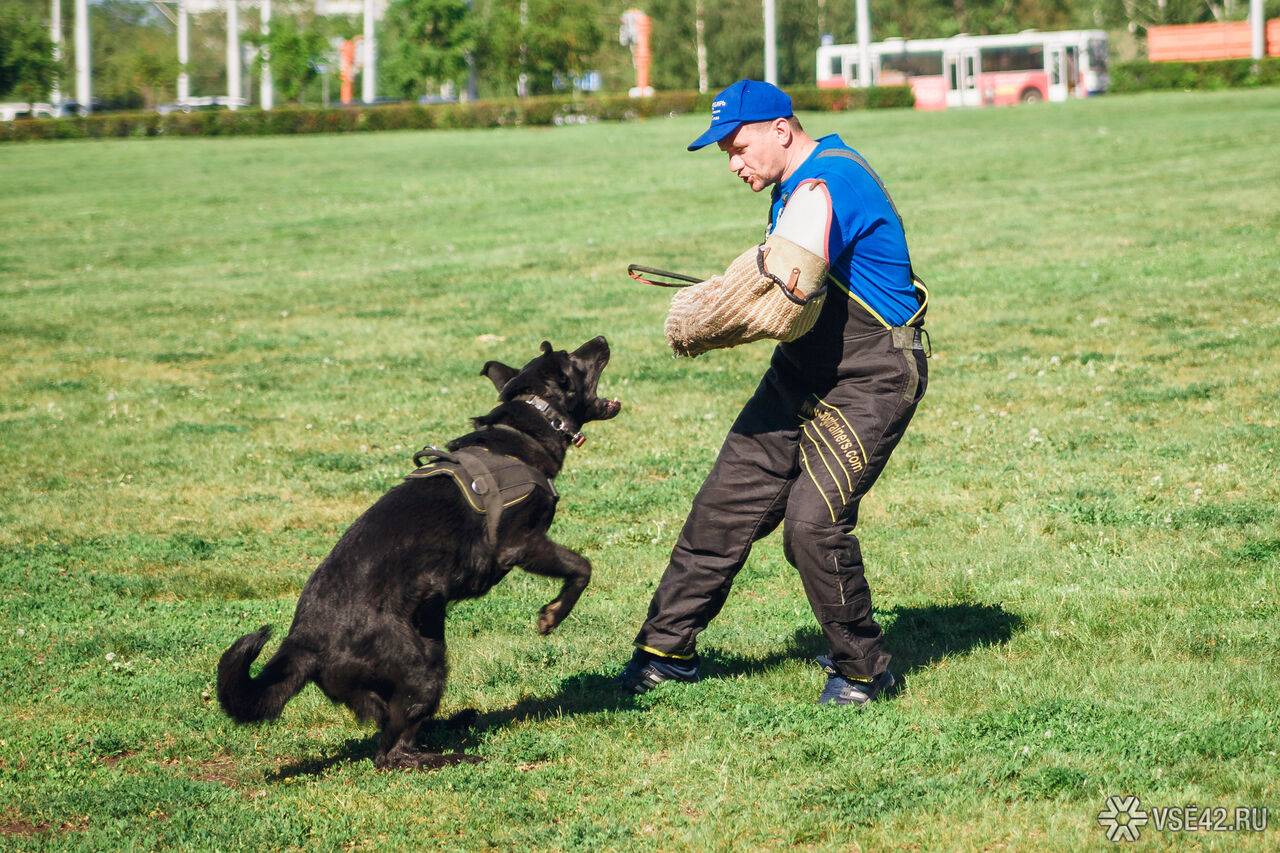 best puppy trainer Loveland CO