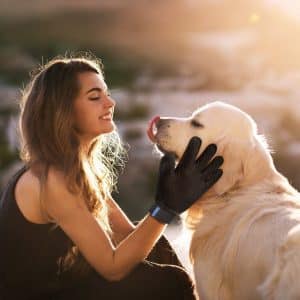 professional puppy trainer Loveland CO