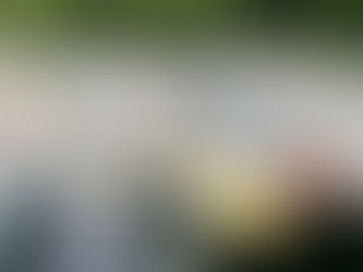 Fall fishing in Cape Coral and Matlacha