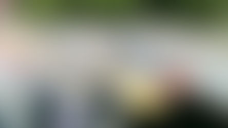 Fall fishing in Cape Coral and Matlacha