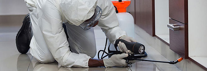 pest-control-general-02.jpg