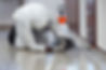 pest-control-general-02.jpg