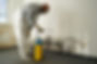Mold Removal.jpg