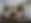 Gemini_Generated_Image_bz8wcsbz8wcsbz8w.png