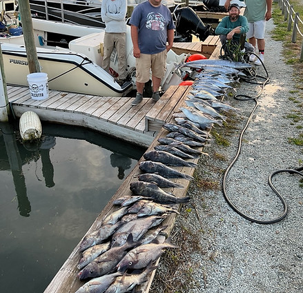 off shore fishing pic.jpg