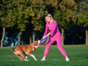 dog trainer in Loveland CO