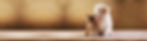 background-4 (1).jpg