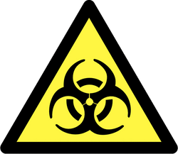 BioSticker_Texture